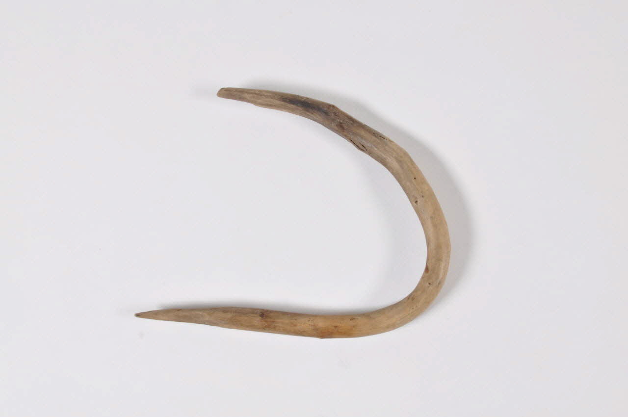 nasse DMH1953.97.53.3 Photo Mucem