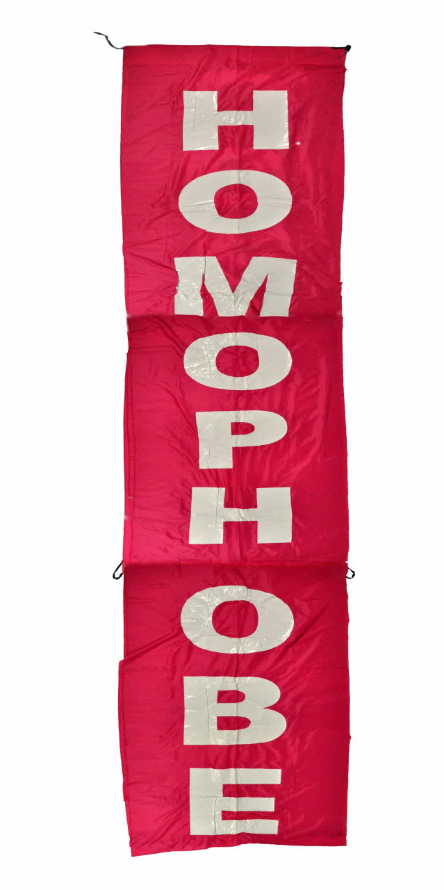 Act Up-Paris traîne mariage symbolique de deux femmes à Notre Dame de Paris : traîne rose d'une des robes de mariée avec inscription : "homophobie" Île-de-France, France 2005/6/5 2008.9.39 Photo Mucem