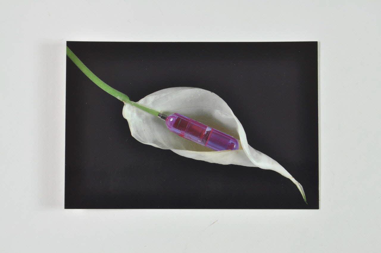 carte postale "Mini vibromasseur et anthurium". Photo Laurette Wittner (pour genre) Rhône-Alpes, France 2005 2007.13.29 Photo Mucem