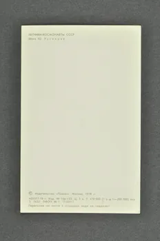 carte postale Portrait de Nikolaj Nikolaevic RUKAVISNIKOV, deux fois héros de l'Union Soviétique (1978) URSS ( ex) 1978 2007.157.30.1 Photo Mucem