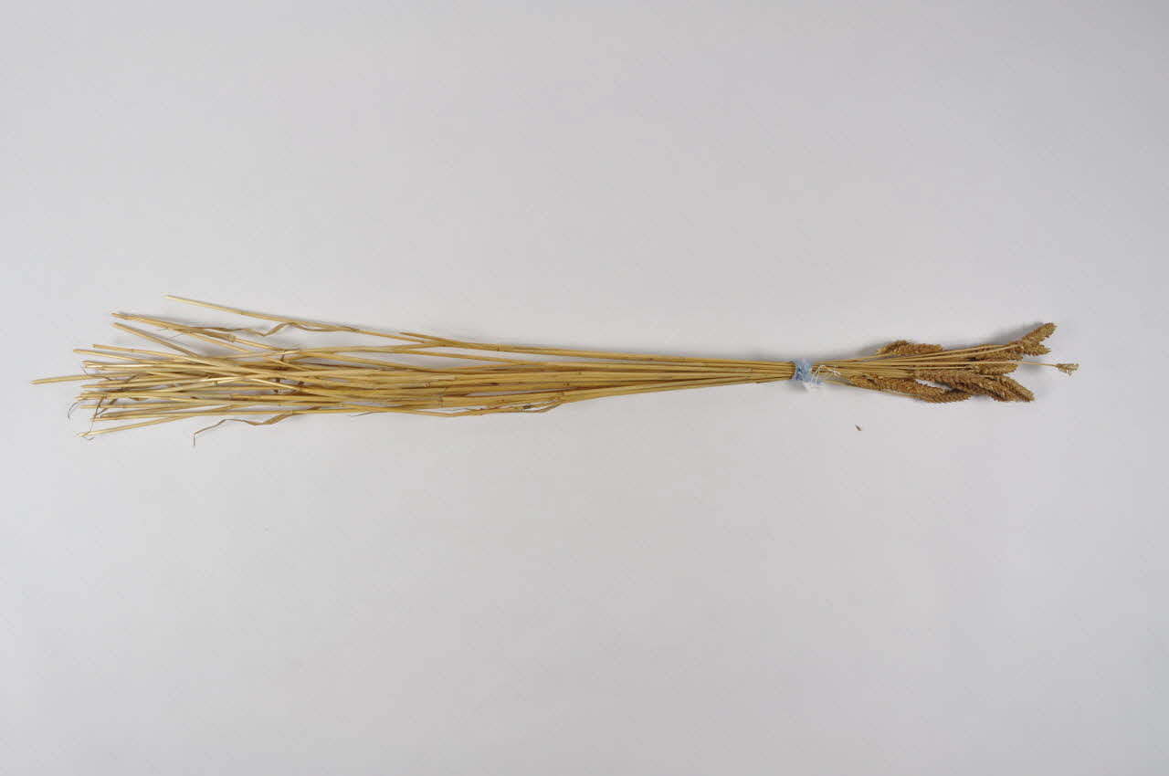 BLE DMH1980.97.13 Photo Mucem