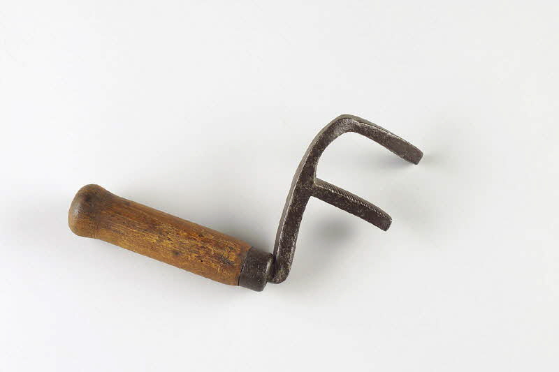 Rameau PIQUE-ECHALAS Bourgogne, France 1880 1946.10.5 Photo