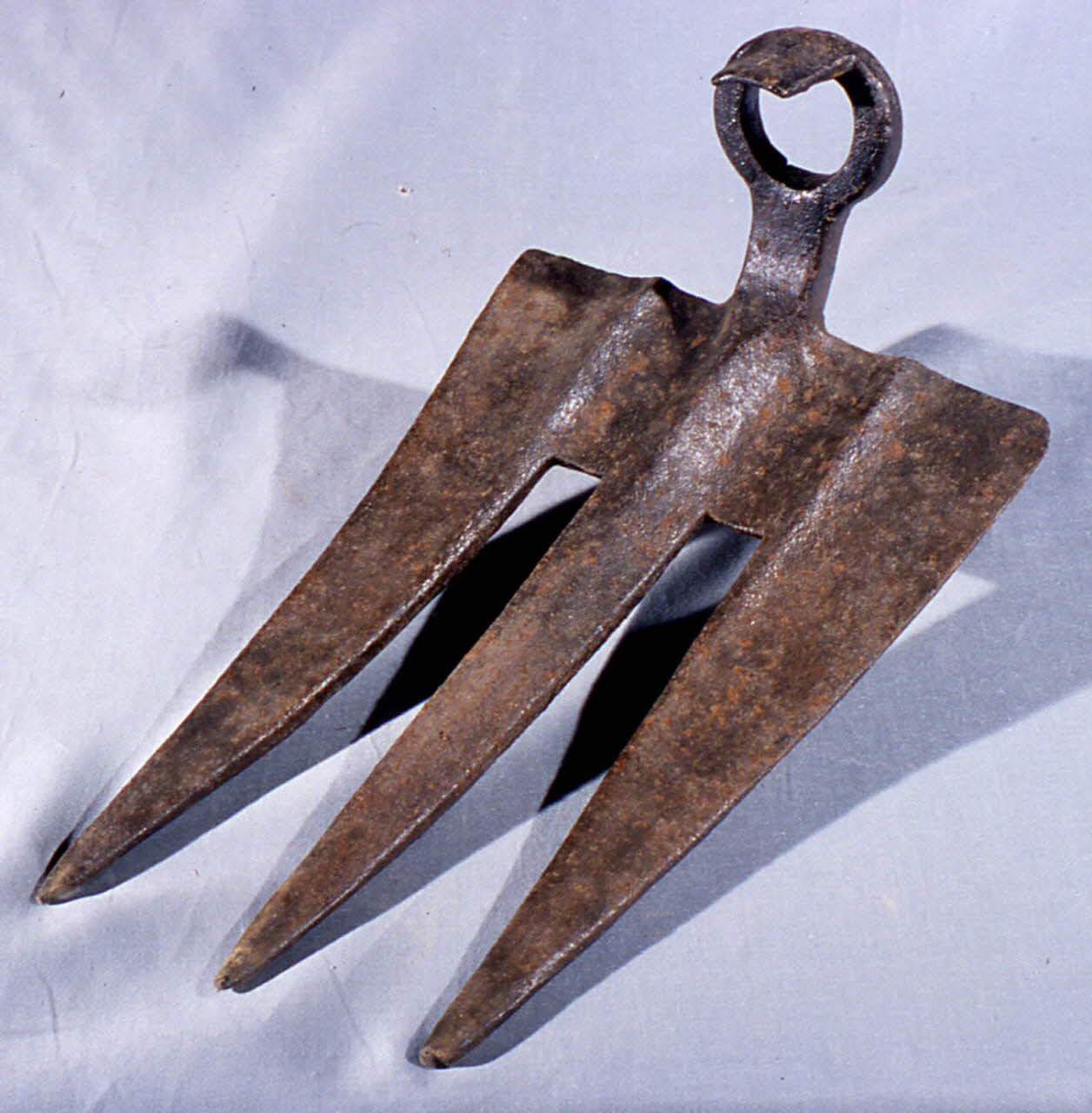 PIC 1957.39.55 Photo