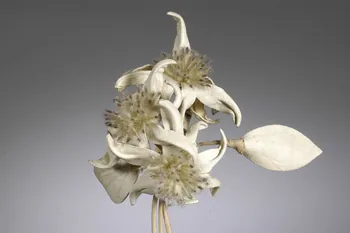 fleur artificielle 1972.150.945.139 Photo