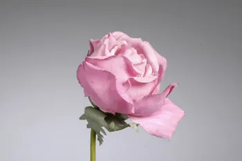 fleur artificielle 1972.150.945.280  Photo