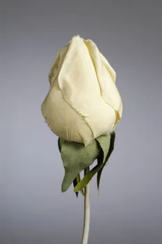 fleur artificielle 1972.150.945.284  Photo