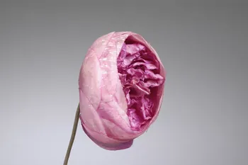 fleur artificielle 1972.150.945.286  Photo