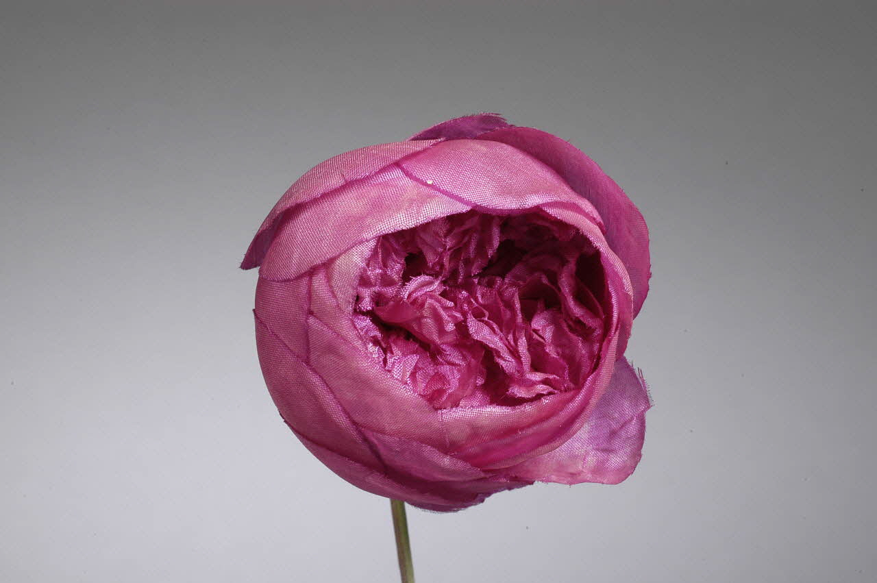 fleur artificielle 1972.150.945.287  Photo