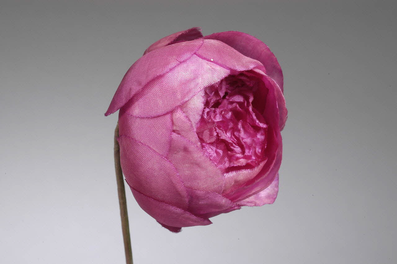 fleur artificielle 1972.150.945.287  Photo