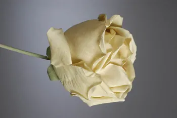 fleur artificielle 1972.150.945.293.1-2  Photo