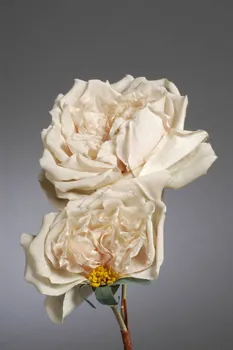 fleur artificielle 1972.150.945.296.1-4  Photo