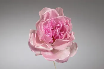 fleur artificielle 1972.150.945.315 Photo