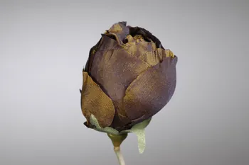fleur artificielle 1972.150.945.322 Photo