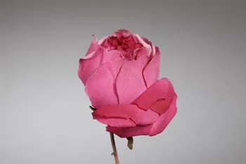 fleur artificielle 1972.150.945.324 Photo