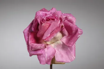 fleur artificielle 1972.150.945.332.1-5 Photo