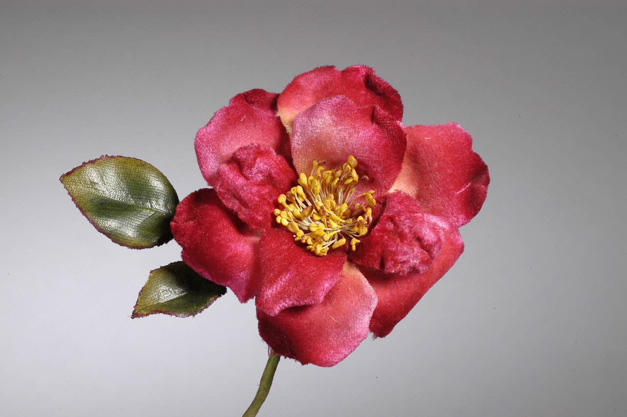 fleur artificielle 1972.150.945.404 Photo