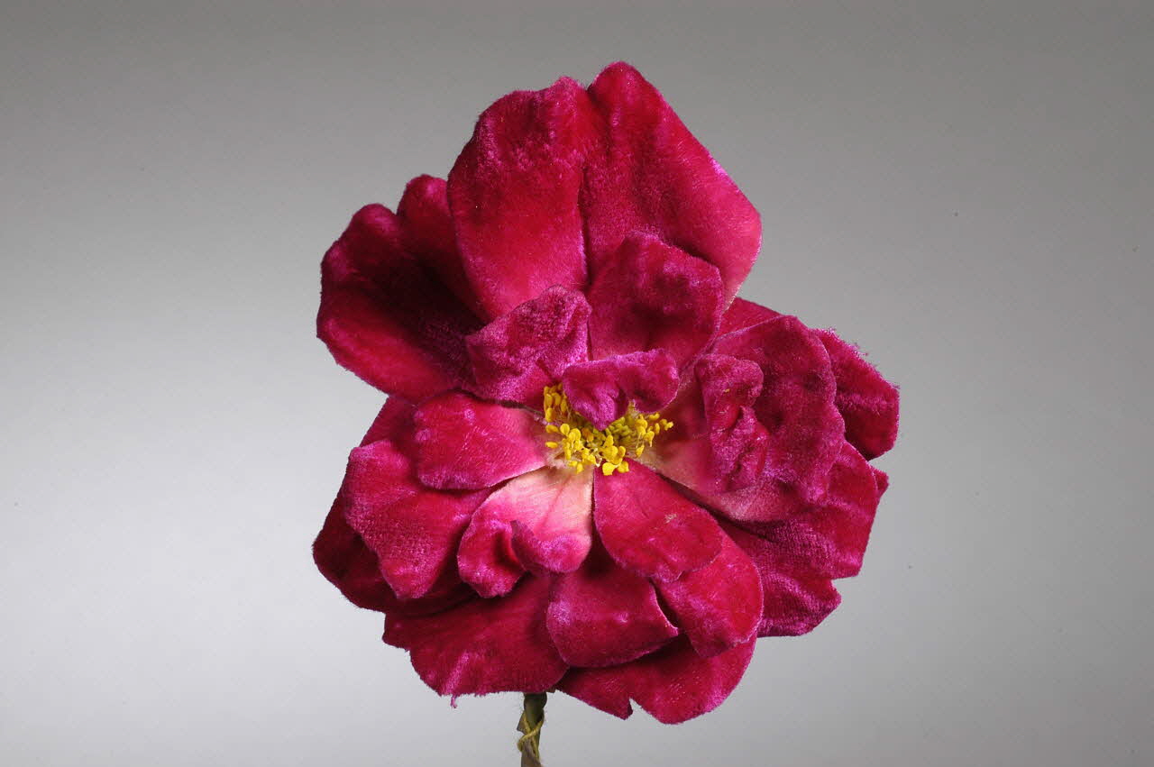 fleur artificielle 1972.150.945.406 Photo