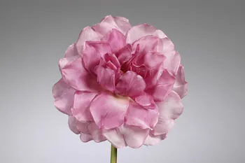 fleur artificielle 1972.150.945.459 Photo