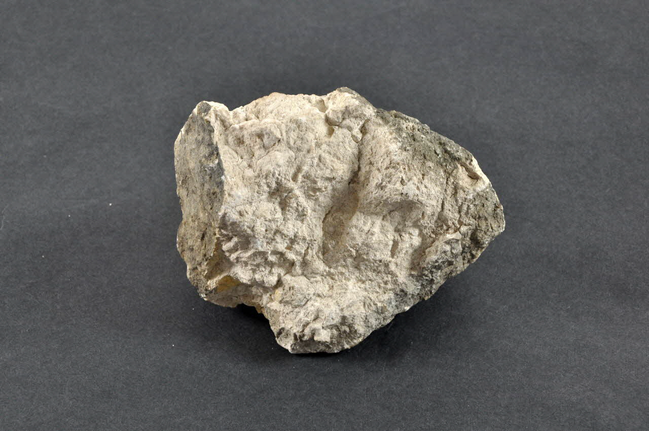 PIERRE Sheu 1956.42.45.2 Photo Mucem