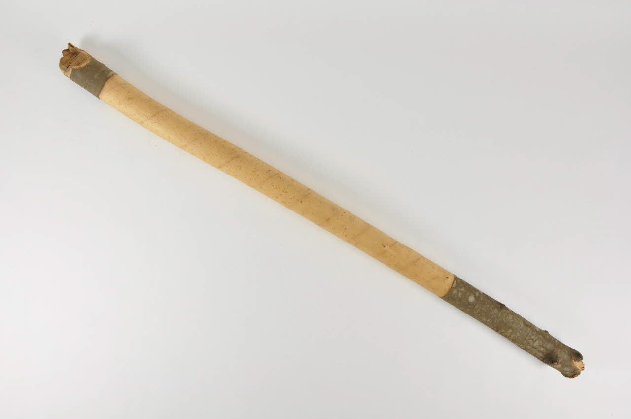 Auguste Vignaux TRONC DE CHATAIGNIER Midi-Pyrénées, France 1956 1956.54.38 Photo Mucem