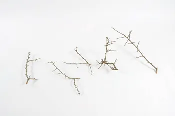 Auguste Vignaux BRANCHE Midi-Pyrénées, France 1956 1956.54.39 Photo Mucem