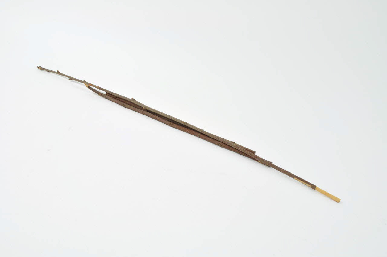 Auguste Vignaux anche double Midi-Pyrénées, France 1956 1956.54.40.1-3 Photo Mucem