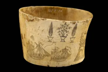 tasse France 1854 1892.2.15 Photo