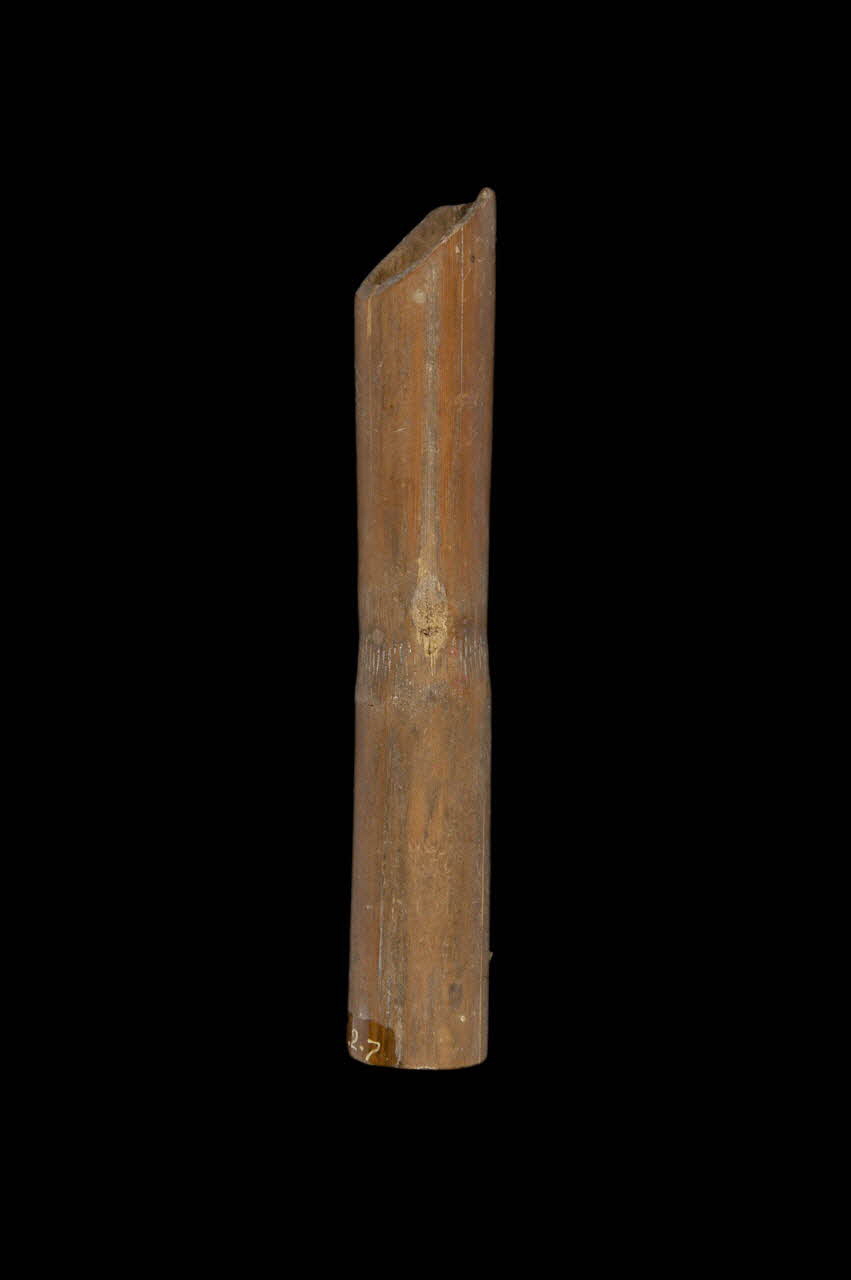 accessoire pour arme à feu 1892.2.7  Photo