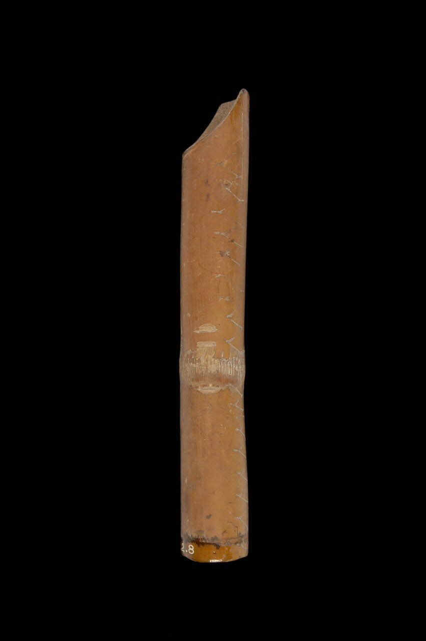 accessoire pour arme à feu 1892.2.8  Photo