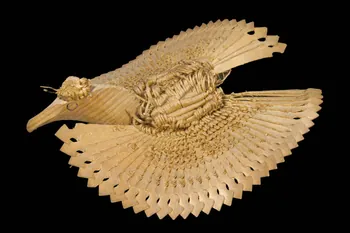 OISEAU DMH1892.76.20  Photo