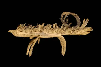 animal (jouet) 1895.15.34 Photo