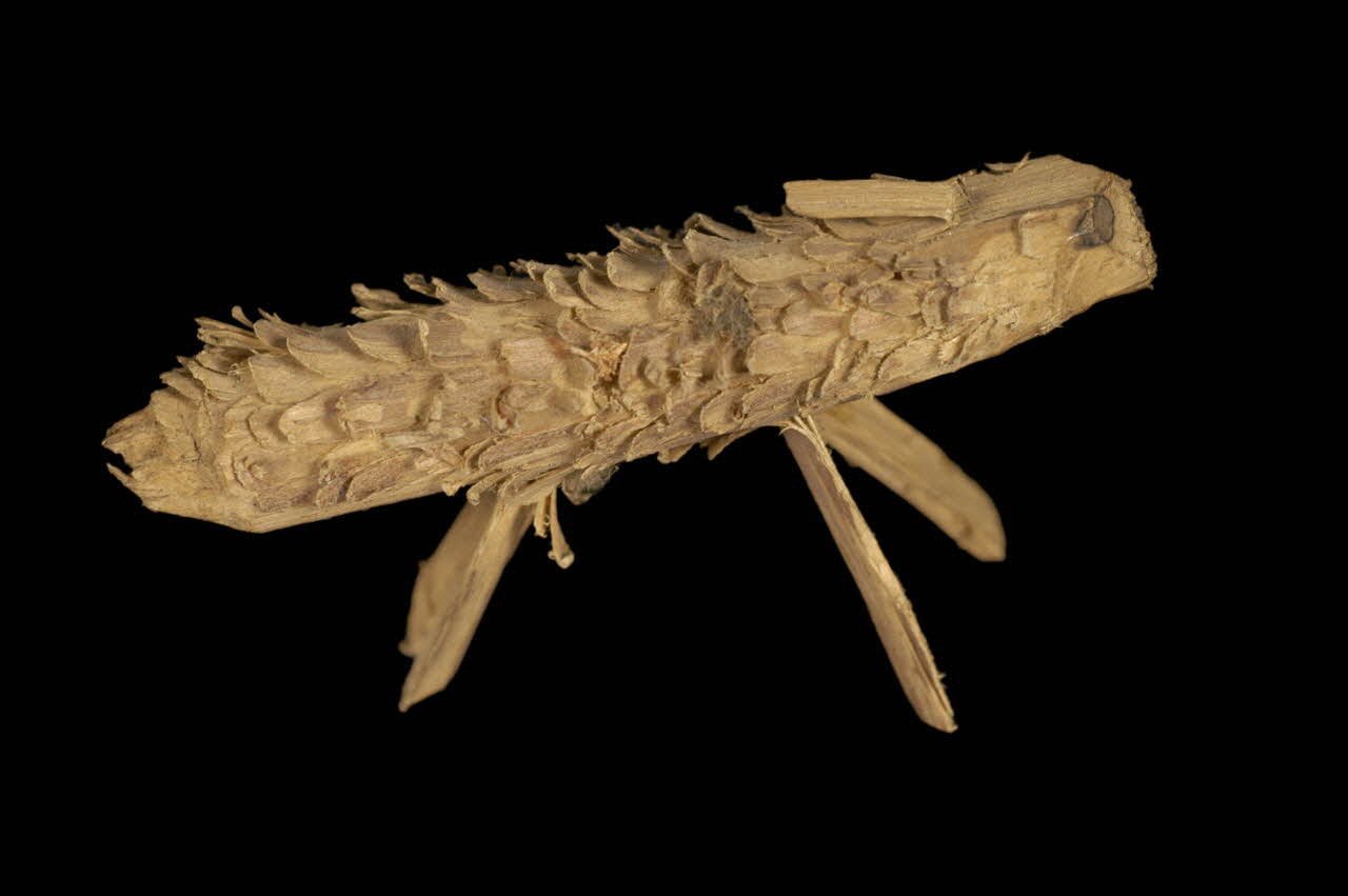 animal (jouet) 1895.15.36 Photo