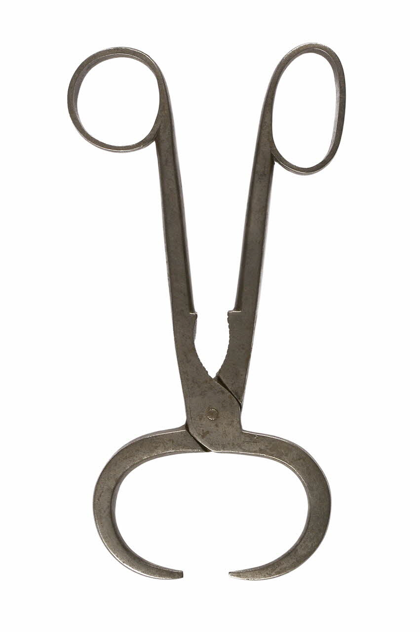 pince à sucre Nord-Pas-de-Calais, France 1800-1897 1897.2.6 Photo