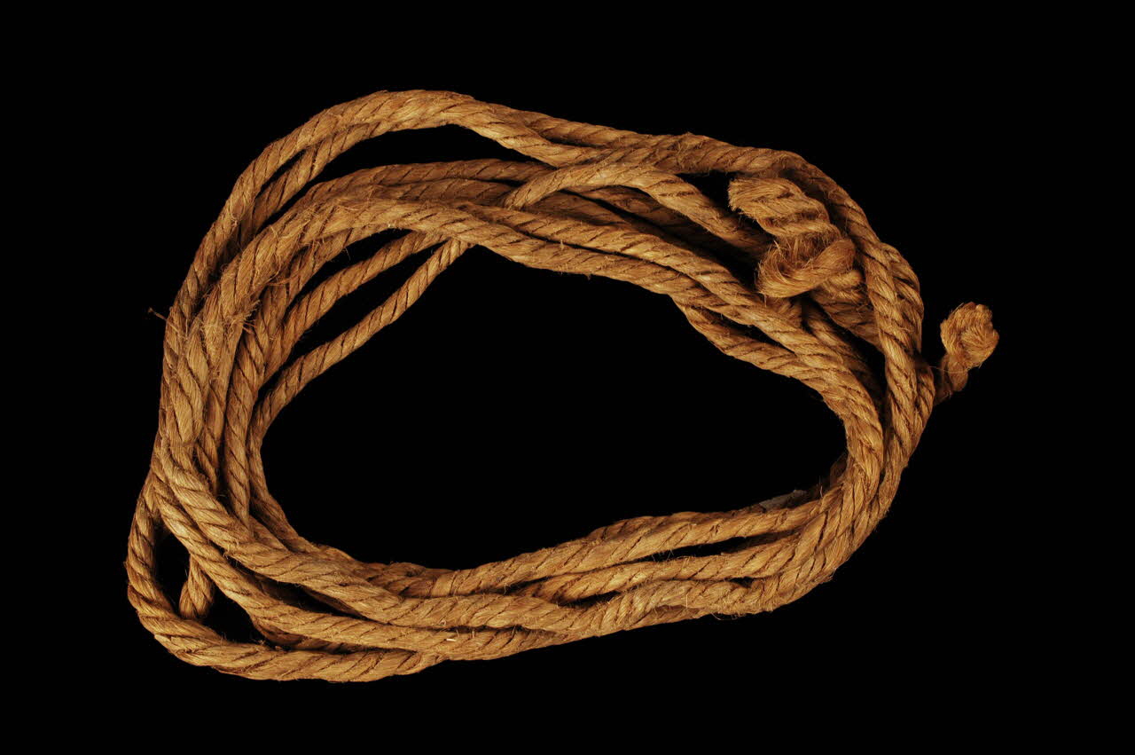 corde à pain de sucre 1901.1.201 Photo