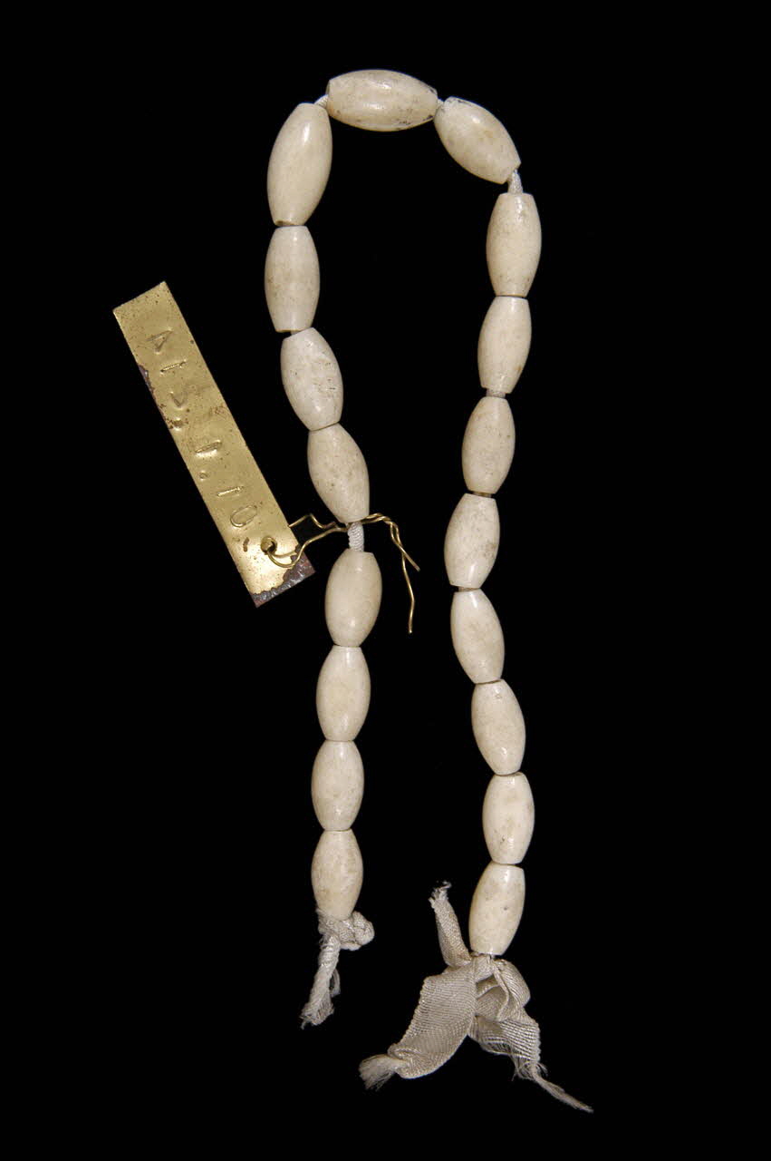 collier de dentition 1901.1.214 Photo