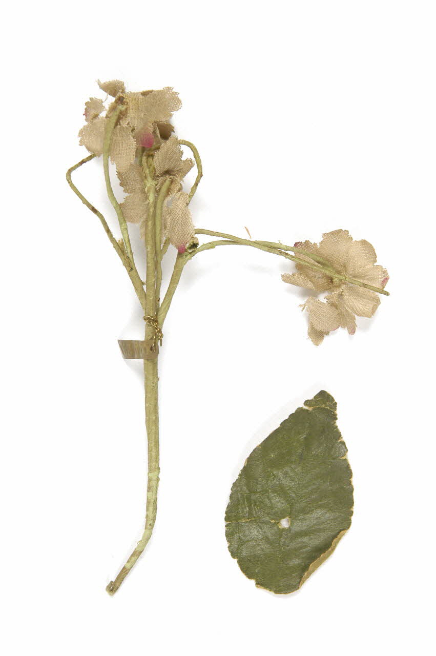 bouquet de mariage 1901.1.587  Photo