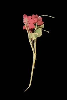 bouquet de mariage 1901.1.588 Photo Mucem / Anne Maigret