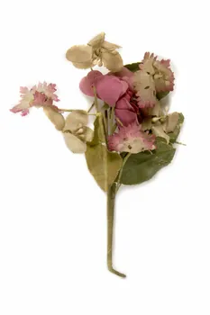 bouquet de mariage 1901.1.589 Photo