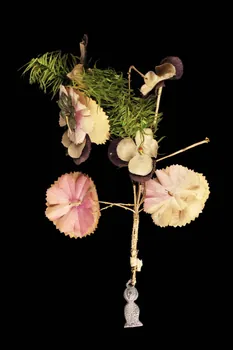 bouquet de saint Mathurin 1901.1.593 Photo