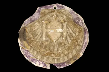 broche Chouanne Pays de la Loire, France 1832 1901.1.616 Photo