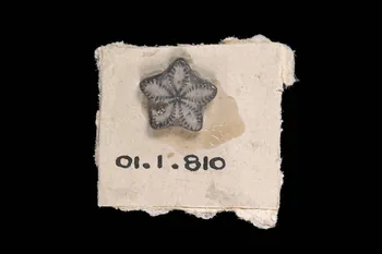 amulette 1901.1.810 Photo Mucem/Virginie Louis