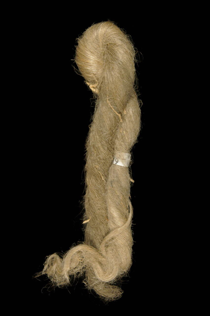tresse DMH1901.55.139 Photo