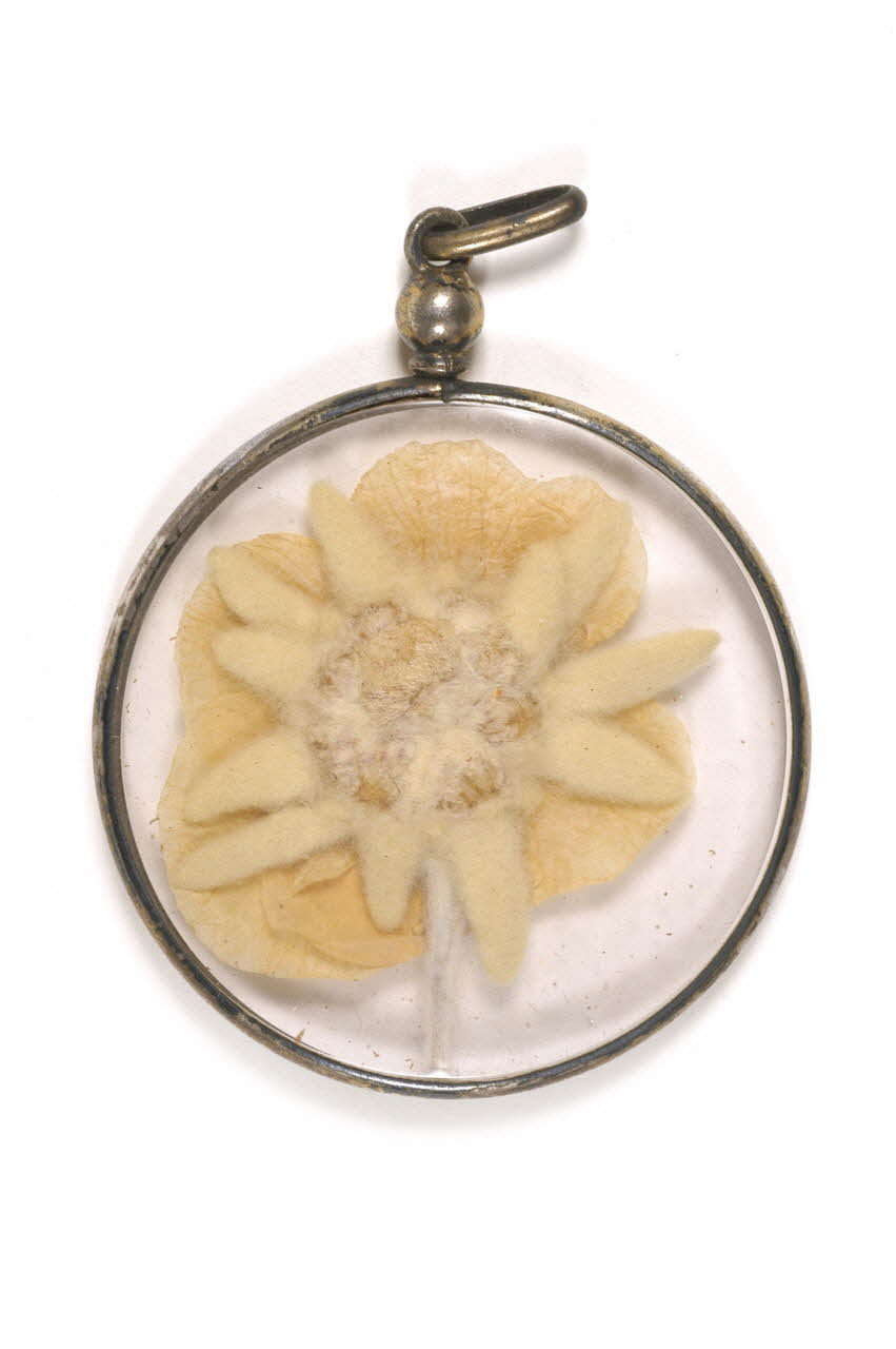 médaillon DMH1901.60.191 Photo