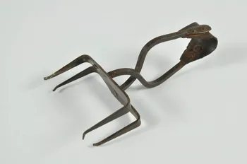 piège à pince rabattante 1960.104.8 Photo Mucem