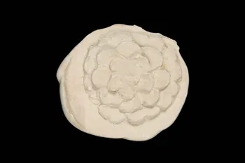 Pierre Soulier moulage Décor d'une armoire (rosette) Picardie, France 1941/7/1 1941.32.27 Photo