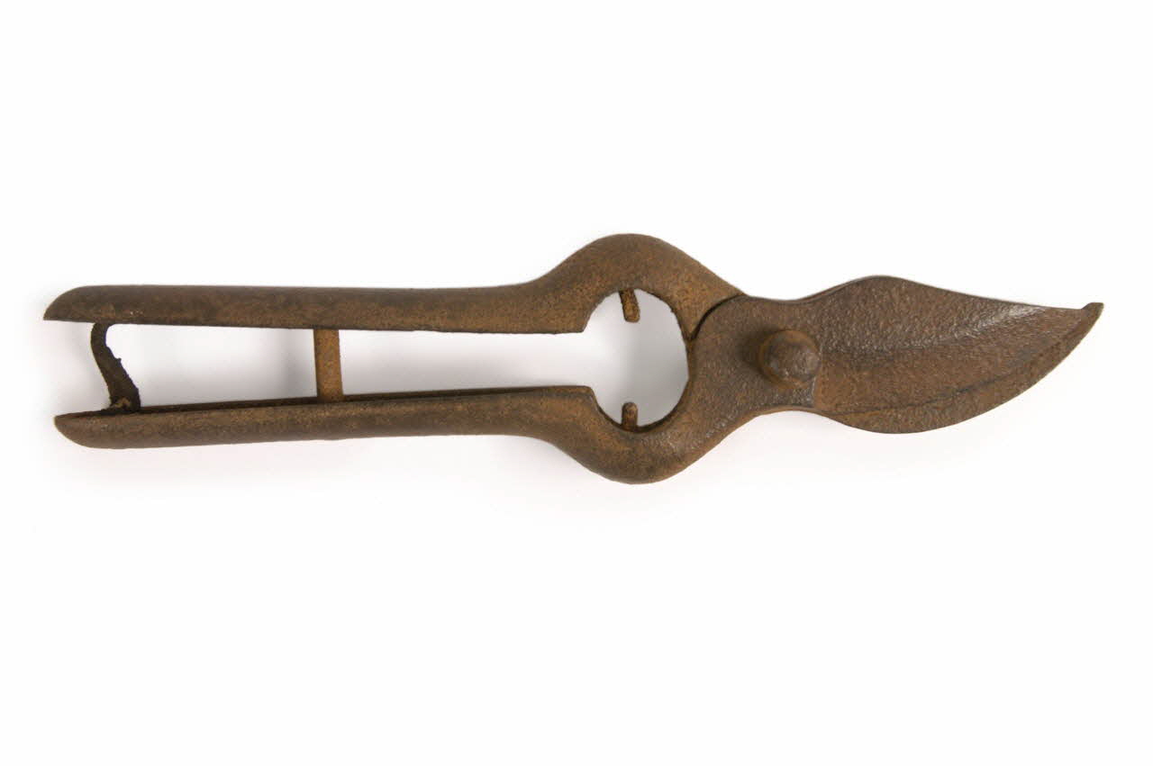 sécateur 1947.45.80 Photo