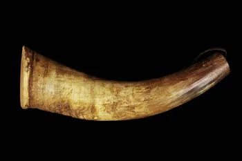 CORNE A SEL 1952.109.2 Photo