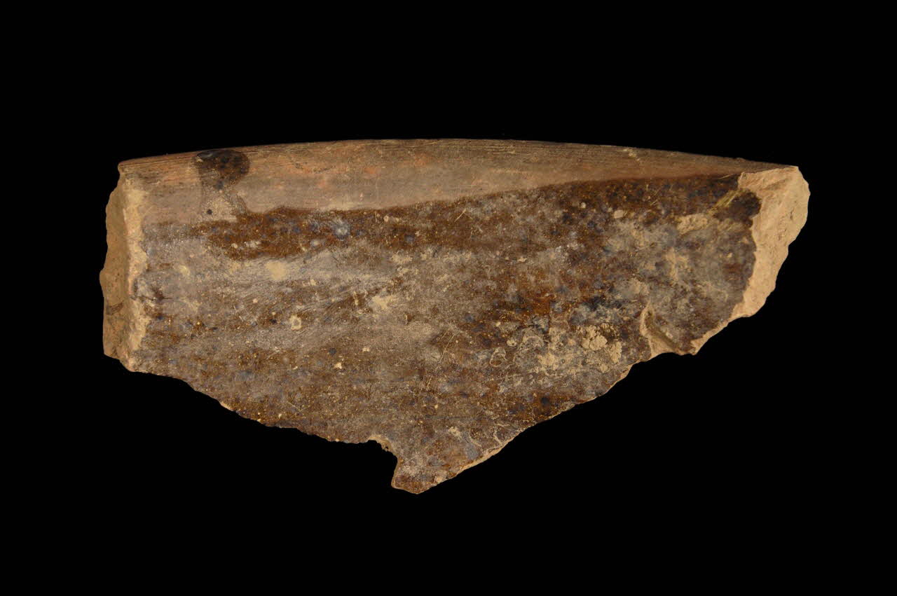 tesson de pot 1952.2.5 Photo