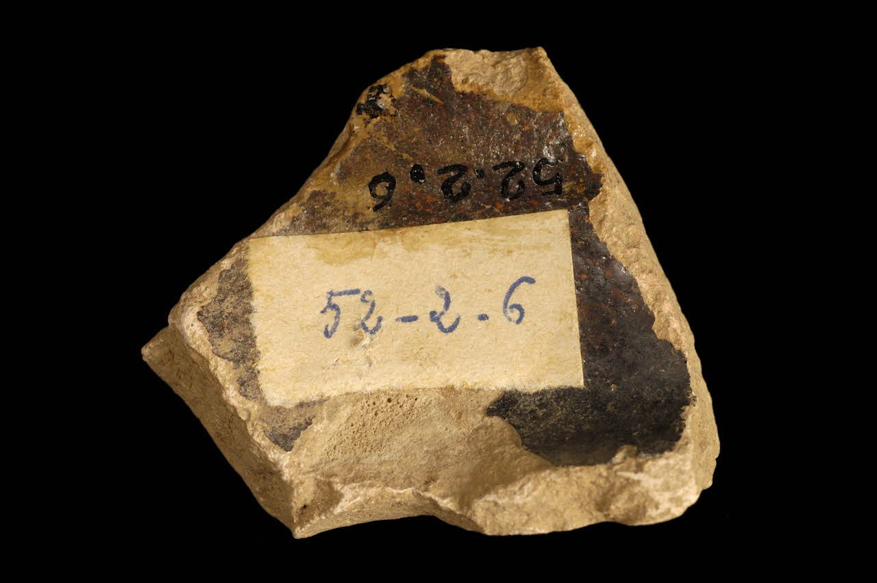 tesson de pot 1952.2.6 Photo