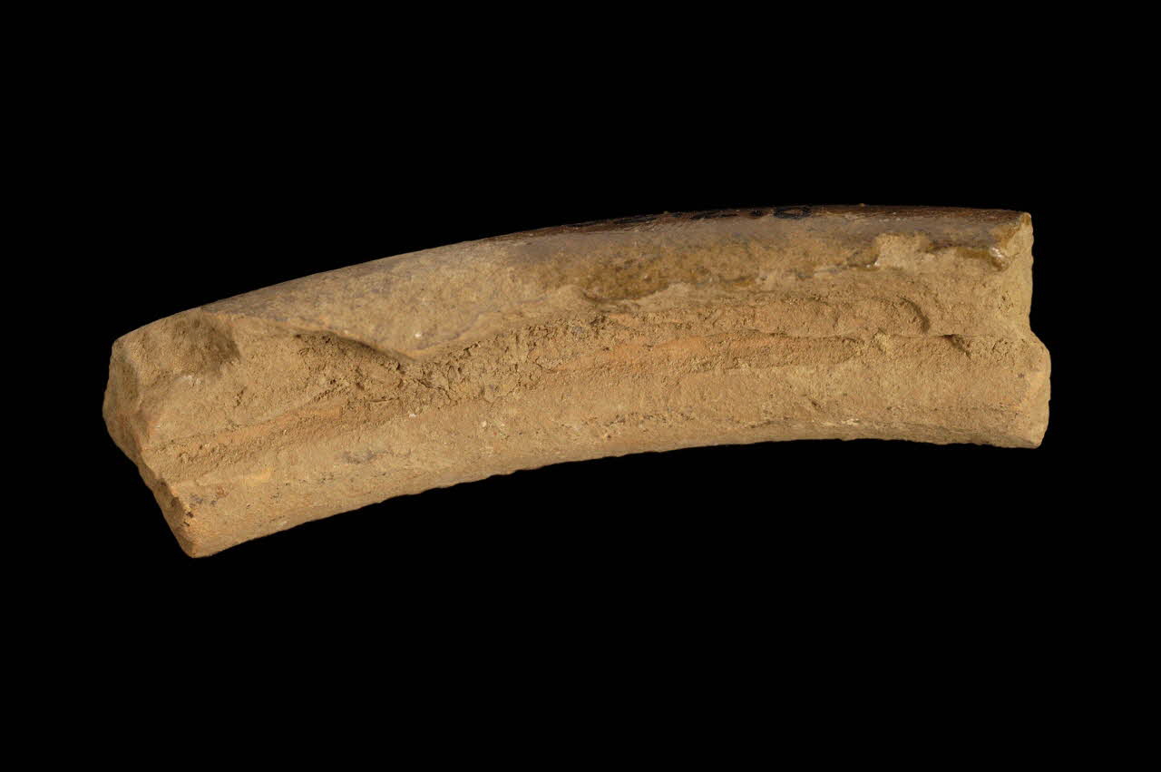 tesson de pot 1952.2.8 Photo